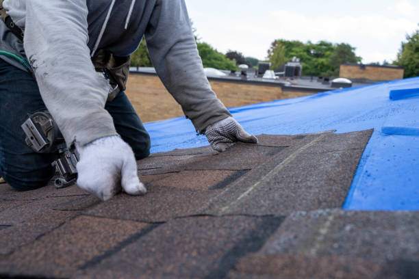 Best Commercial Roofing Services  in Lake Bluff, IL